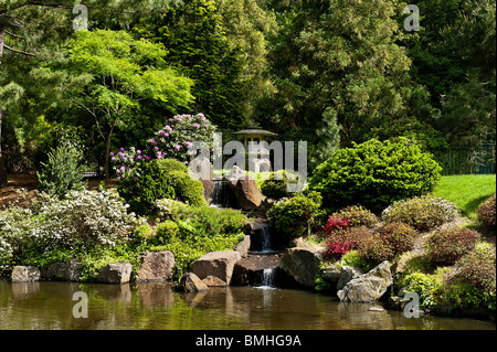 Shofuso japanischer Garten, Fairmount Park, Philadelphia, Pennsylvania, USA Stockfoto