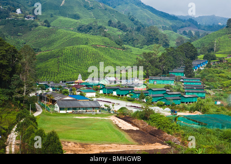 Arbeiter-Viertel an der Boh-Teeplantage in Malaysia Cameron Highlands sind umgeben von Reihen von Camellia sinensis Stockfoto