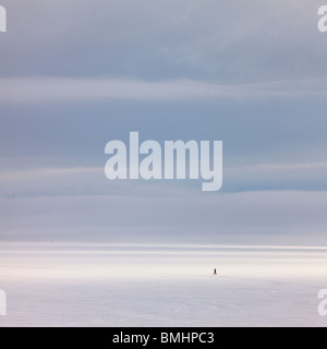 Schneebedeckte Feld Stockfoto