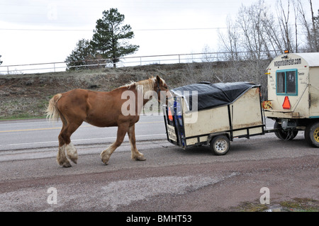 Wagonteamster - Wagen und Pferd Art des Reisens, USA Stockfoto