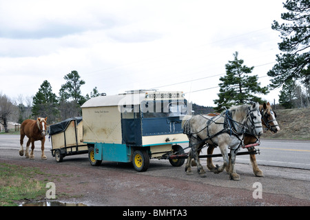 Wagonteamster - Wagen und Pferd Art des Reisens, USA Stockfoto