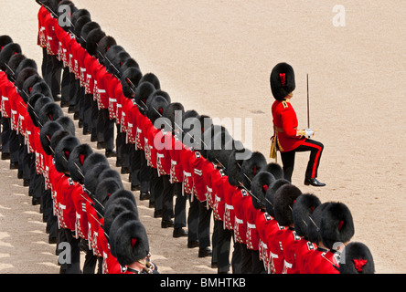 Die Queen Geburtstag Parade, auch bekannt als die Trooping the Colour, alljährlich am Horse Guards Whitehall, London. VEREINIGTES KÖNIGREICH. Stockfoto