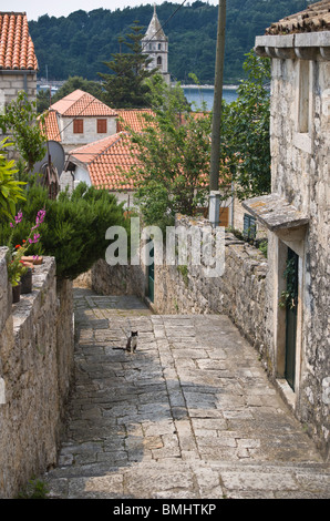 Eine Katze sitzt in einem hübschen Cavtat Straßenszene, Dalmatien, Kroatien Stockfoto