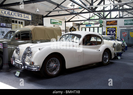 Innere des Lakeland Motor Museum, Newby Bridge, Cumbria zeigt einen Jaguar XK 120 Stockfoto