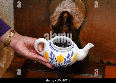 Gießen Thermalwasser in eine Teekanne, grüner Tee zu machen. Furnas, Azoren, Portugal. Stockfoto