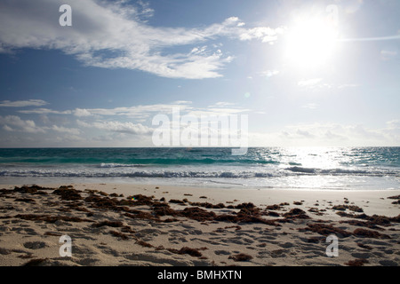 Ein schöner windigen, aber sonnigen Strand mit Algen in Hope Town, Elbow Cay in den Abacos, Bahamas. Stockfoto
