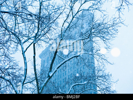 Schneebedeckten Baum im städtischen Umfeld Stockfoto
