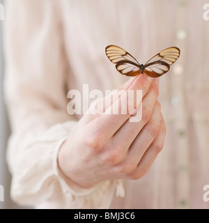 Hand halten Schmetterling Stockfoto