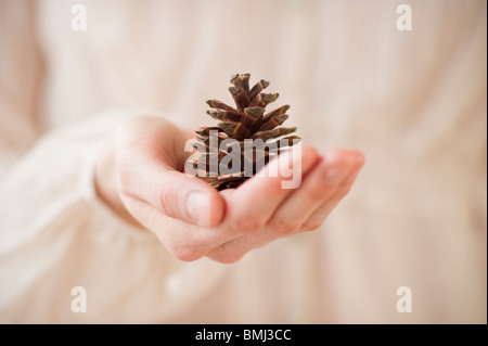 Hand halten Tannenzapfen Stockfoto