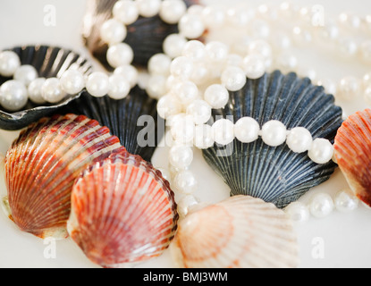 Perlen und Muscheln Stockfoto