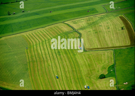 Harvesting Silage, Yorkshire Dales, bei Pately Bridge, North Yorkshire, Nordengland Stockfoto