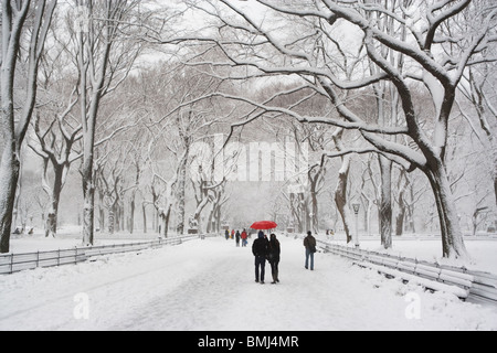 Menschen gehen im Central Park im winter Stockfoto