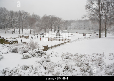 Central Park im winter Stockfoto