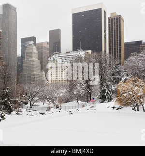 Central Park im winter Stockfoto