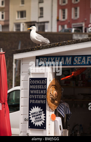 Großbritannien, England, Devon, Brixham Hafen, Möwe auf Kai zum Mitnehmen Meeresfrüchte stall Stockfoto