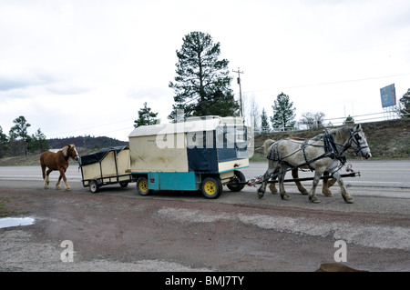 Wagonteamster - Wagen und Pferd Art des Reisens, USA Stockfoto