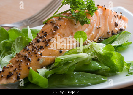 Lachs mit Spinat und Rucola Stockfoto