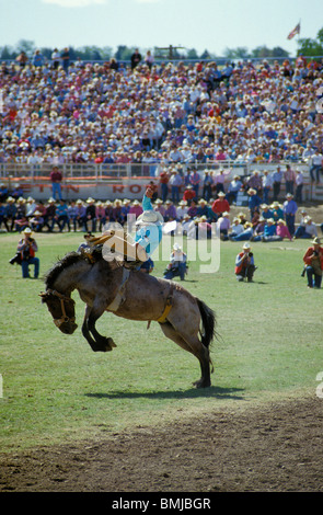 Cowboy auf Pferd während Bronc Reiten Veranstaltung bei Pendleton Roundup Rodeo; Niederließ, nordöstlichen Oregon. Stockfoto