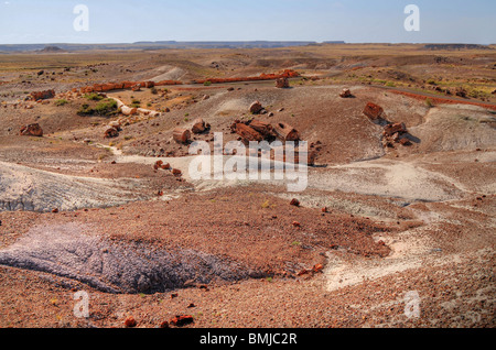 Petrified Forest Nationalpark Northern Arizona USA Stockfoto