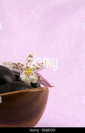 Zen-artige Szene mit Blumen und Kerzen Stockfoto