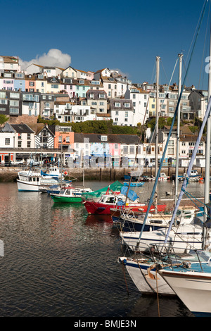 Großbritannien, England, Devon, Brixham Freizeit- und Angelboote/Fischerboote im Hafen Stockfoto