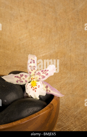 Zen-artige Szene mit Blumen und Kerzen Stockfoto