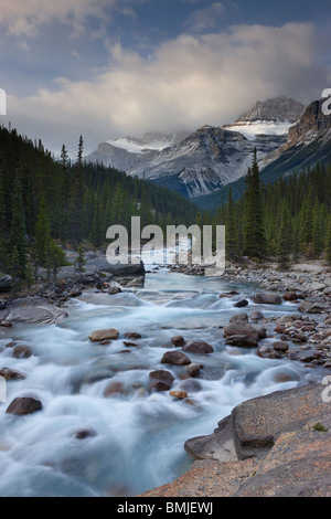 Mistaya Canyon in der Morgendämmerung, nr Saskatchewan Crossing, Banff Nationalpark, Alberta, Kanada Stockfoto