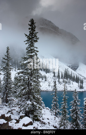 Neuschnee am Morraine Lake im Valley of the Ten Peaks, Banff Nationalpark, Alberta, Kanada Stockfoto