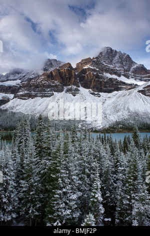 Mount Crowfoot & Crowfoot Glacier über Bow Lake im Schnee, Icefields Parkway, Banff Nationalpark, Alberta, Kanada Stockfoto