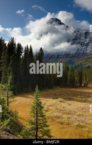 Epaulette Berg, Icefields Parkway, Banff Nationalpark, Alberta, Kanada Stockfoto