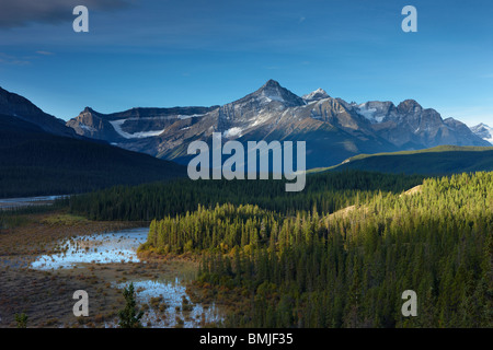 Howse River und Mount Forbes, Saskatchewan Crossing, Banff Nationalpark, Alberta, Kanada Stockfoto