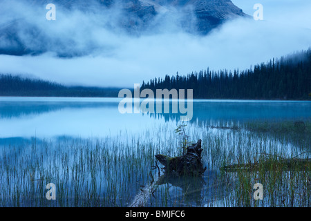 Emerald Lake im Morgengrauen, Yoho Nationalpark, Britisch-Kolumbien, Kanada Stockfoto