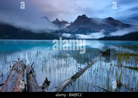 Emerald Lake im Morgengrauen mit den Gipfeln des Bereichs Präsident hinaus Yoho Nationalpark, Britisch-Kolumbien, Kanada Stockfoto