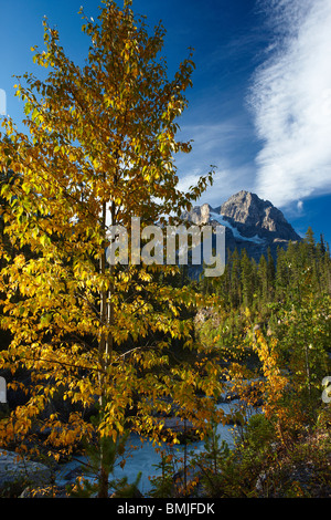 Meeting of the Waters; Yoho & ausschlagenden Pferd mit Kathedrale Klippen über Yoho Nationalpark, Britisch-Kolumbien, Kanada Stockfoto