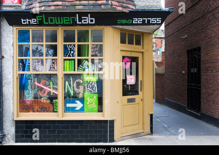 Die Blume Lab-Floristen in Margate, Kent, England Stockfoto