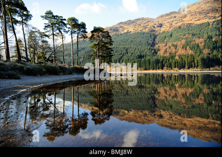 Winter-Reflexionen, Loch Eck, Argyle und Bute, Scotland Stockfoto