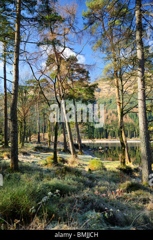 Winter-Reflexionen, Loch Eck, Argyle und Bute, Scotland Stockfoto