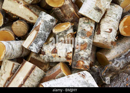 Ansicht von Brennholz, Nahaufnahme Stockfoto