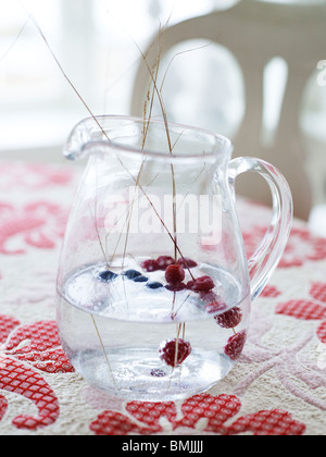 Skandinavien, Schweden, Stockholm, Beerenfrüchte in Glas Wasser, Nahaufnahme Stockfoto