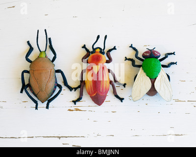 Skandinavien, Schweden, drei Insekten auf weißem Hintergrund, Nahaufnahme Stockfoto