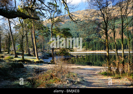 Winter-Reflexionen, Loch Eck, Argyle und Bute, Scotland Stockfoto