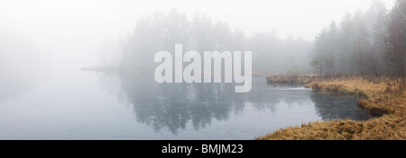 Skandinavien, Schweden, Skane, Blick auf nebligen See Stockfoto