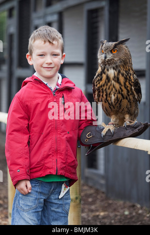 Eine europäische oder eurasische Adler-Eule (Bubo Bubo) in Gefangenschaft in Lincolnshire, England, Handschuh sitzt auf eines kleinen Jungen Stockfoto