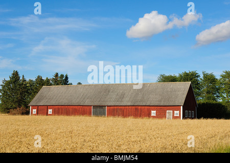 Skandinavien, Schweden, Ostergotland, Scheune im Feld Stockfoto