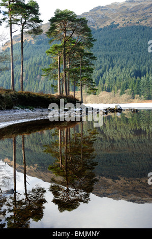 Winter-Reflexionen, Loch Eck, Argyle und Bute, Scotland Stockfoto