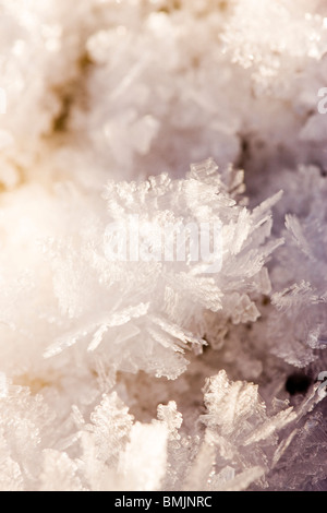 Skandinavien, Schweden, Skane, Sodermanland, Ansicht von Schneeflocken, Nahaufnahme Stockfoto