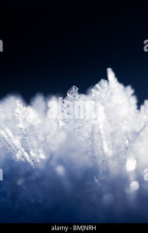 Skandinavien, Schweden, Skane, Sodermanland, Ansicht von Schneeflocken, Nahaufnahme Stockfoto