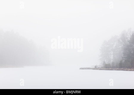 Skandinavien, Schweden, Skane, Blick auf nebligen See Stockfoto