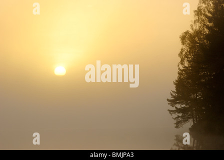 Skandinavien, Schweden, Vastergotland, Molnlycke, Blick auf nebligen See bei Sonnenaufgang Stockfoto