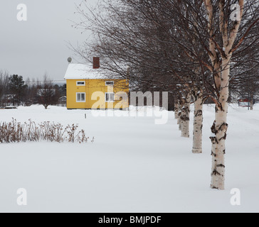 Skandinavien, Schweden, Harjedalen, Vemdalen, Reihe von Bäumen und Haus im winter Stockfoto